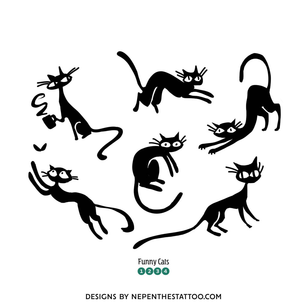 flash_for_website5-tinified