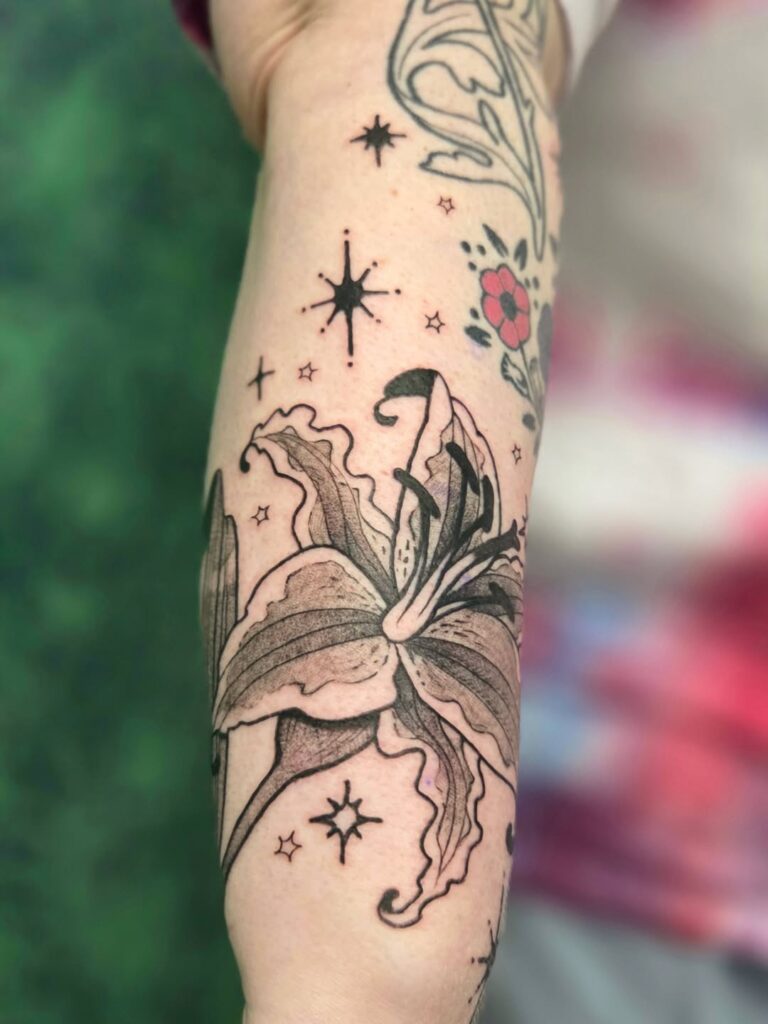 stargazer lily and stars