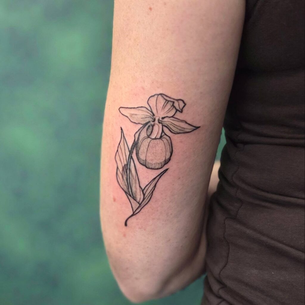 lady's slipper