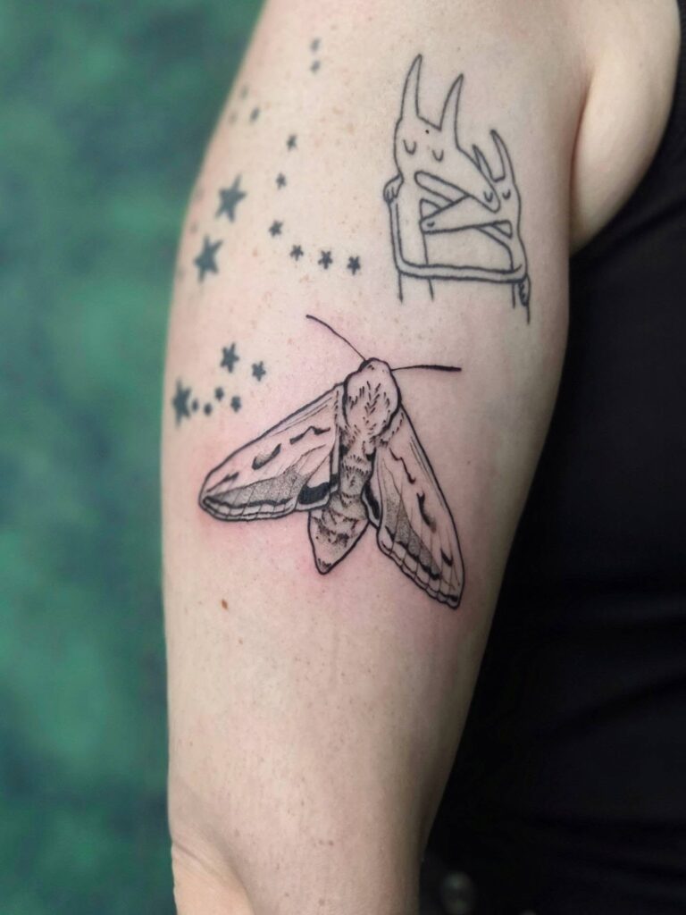 hawk moth