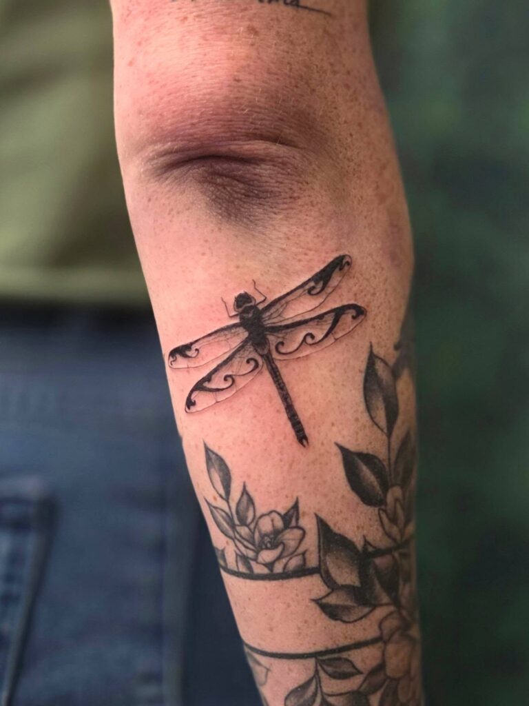 dragonfly